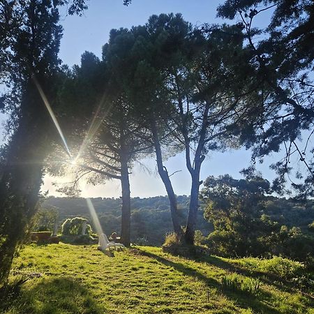 Casa Rural Camino De Hierro I Y II La Fregeneda Esterno foto