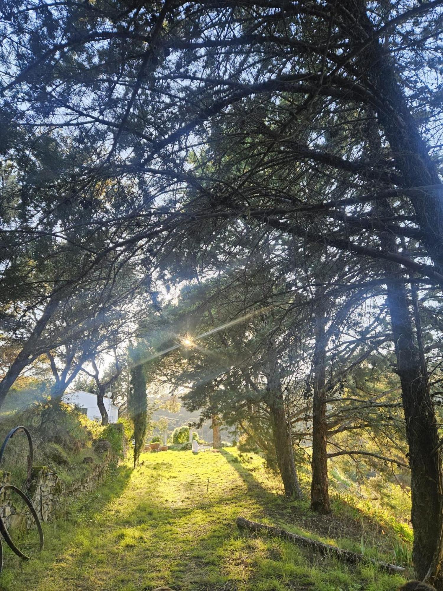 Casa Rural Camino De Hierro I Y II La Fregeneda Esterno foto