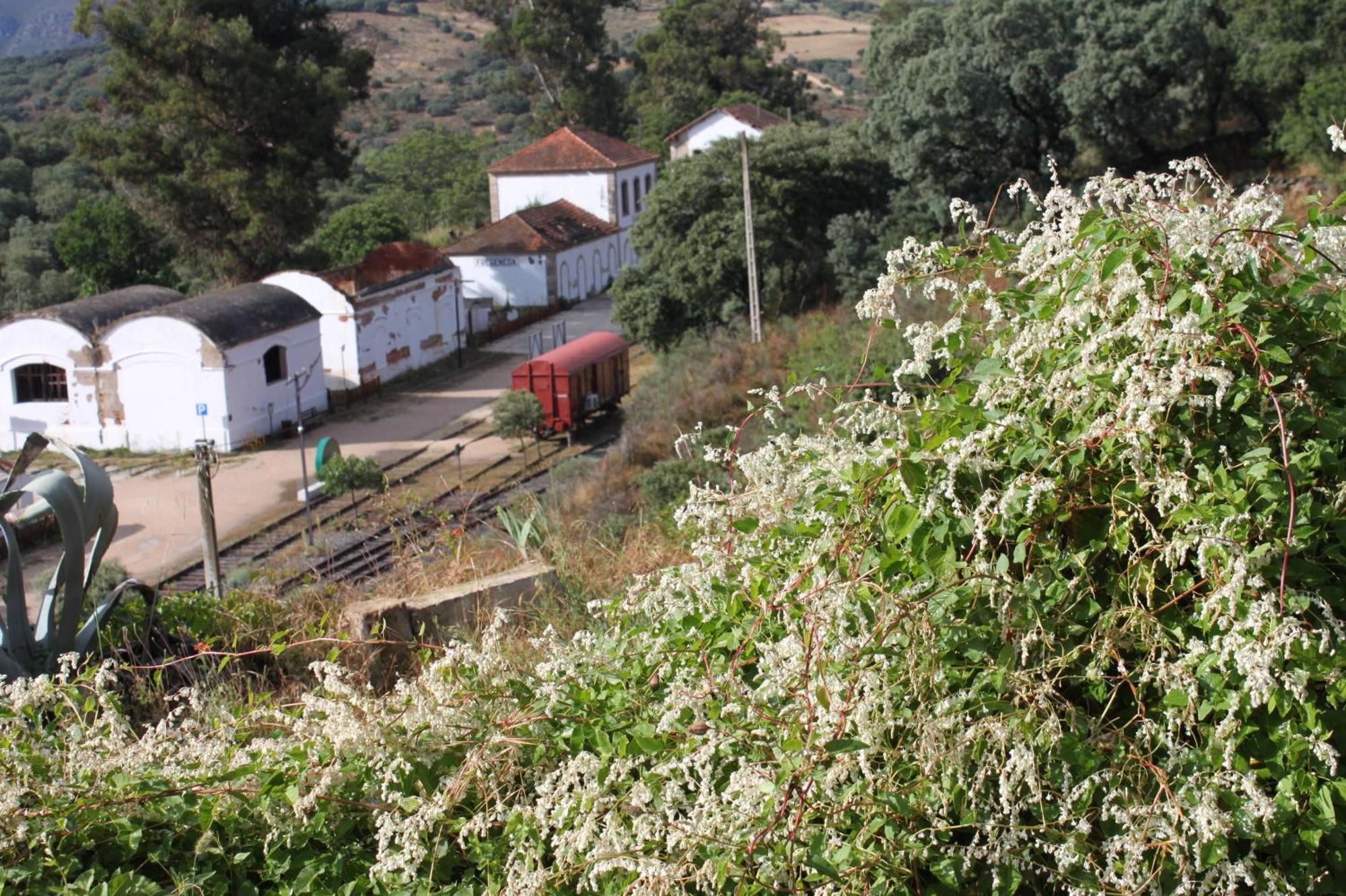 Casa Rural Camino De Hierro I Y II La Fregeneda Esterno foto